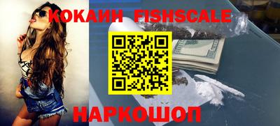 стаф Гай