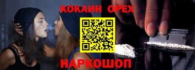 стаф Гай