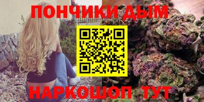 стаф Гай