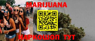 стаф Гай