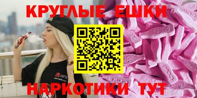 стаф Гай