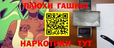 стаф Гай