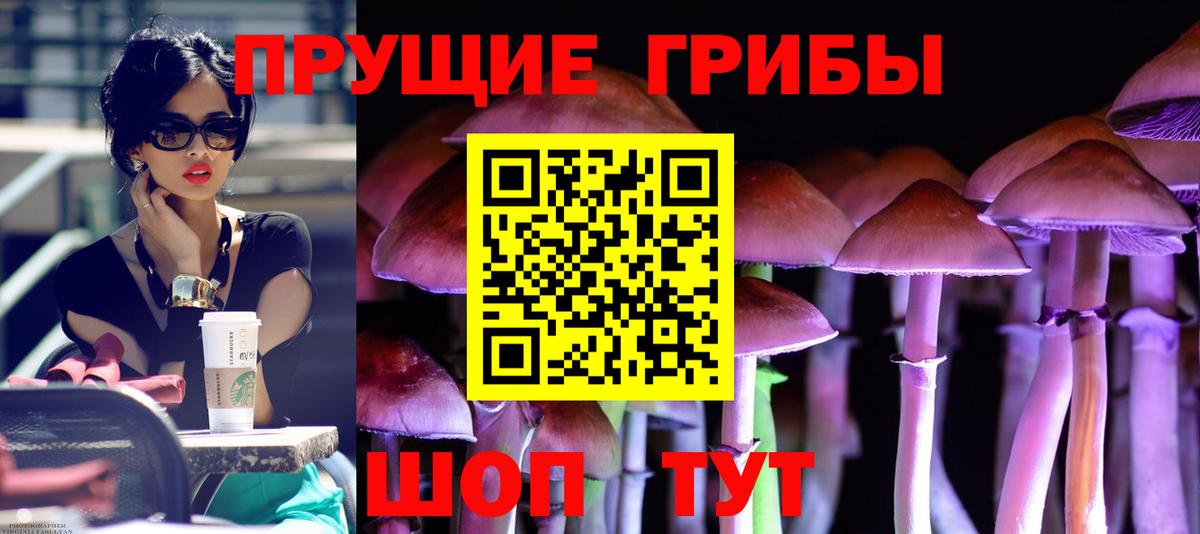 Псилоцибиновые грибы Magic Shrooms Кубинка